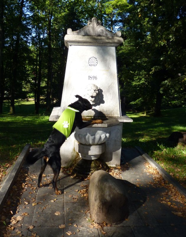 Neuburský pramen v Jeseníku - občerstvení