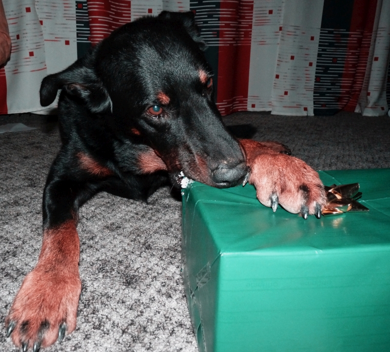 vánoce 2014 rozbalím si sám